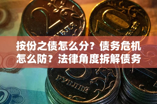 武汉按份之债怎么分？债务危机怎么防？法律角度拆解债务分配与风险自保指南