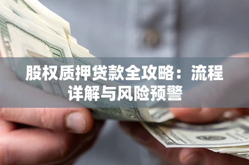 武汉股权质押贷款全攻略：流程详解与风险预警