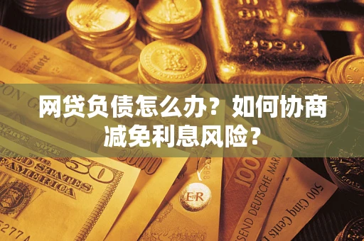 武汉网贷负债怎么办？如何协商减免利息风险？