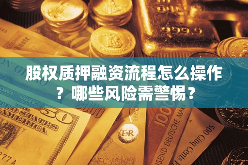 武汉股权质押融资流程怎么操作？哪些风险需警惕？