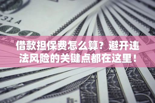 武汉借款担保费怎么算？避开违法风险的关键点都在这里！