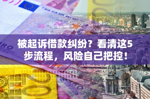 武汉被起诉借款纠纷？看清这5步流程，风险自己把控！