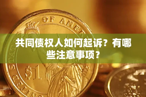 武汉共同债权人如何起诉？有哪些注意事项？