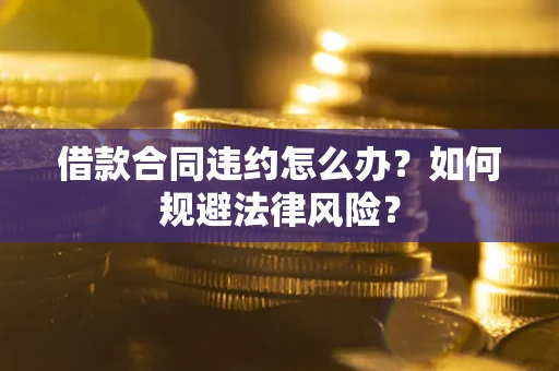 武汉借款合同违约怎么办？如何规避法律风险？